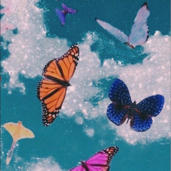 Meet your Posher, Daniella - Picture 1 of 1